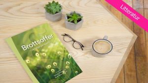 Brottsoffer - rättsliga perspektiv